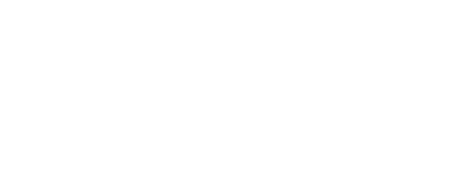 Logo NS Bikes