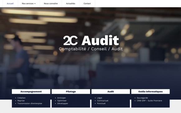 Capture d'écran du site internet 2C Audit
