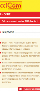 Capture d'écran du site internet mobile Occicom