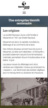 Capture d'écran du site internet mobile Raynaud Jeune